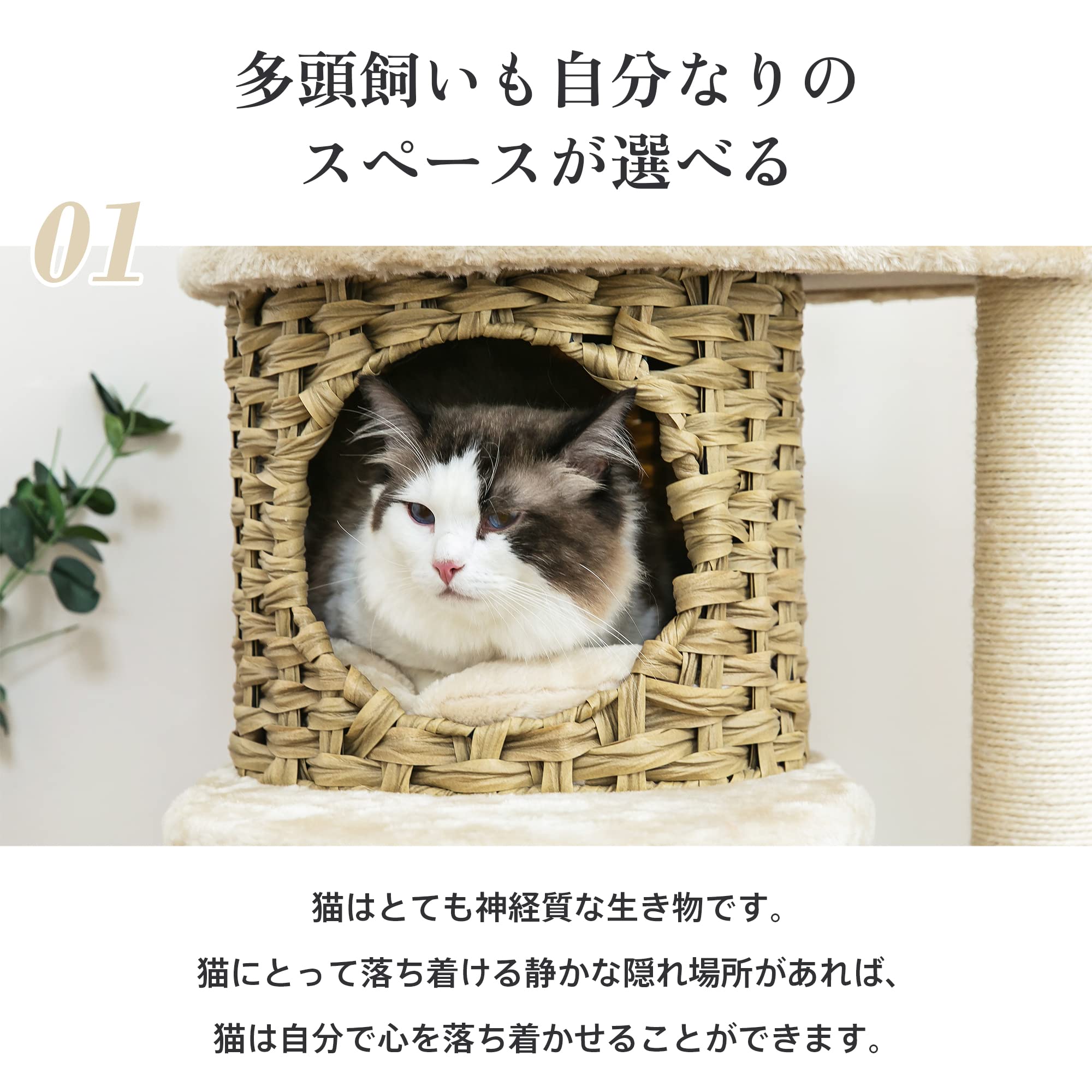 Amazon | Mwpo 新デザイン ラタン製 キャットタワー 洗える 据え置き