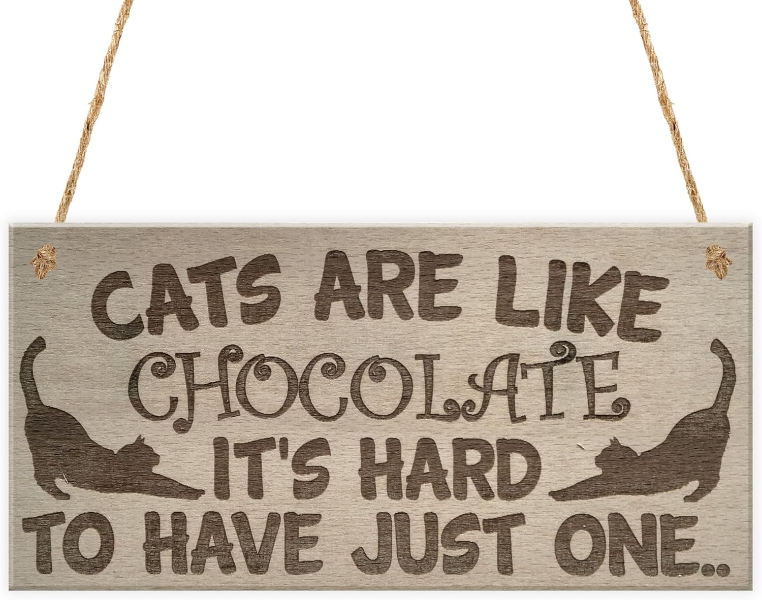 do cats like chocolate