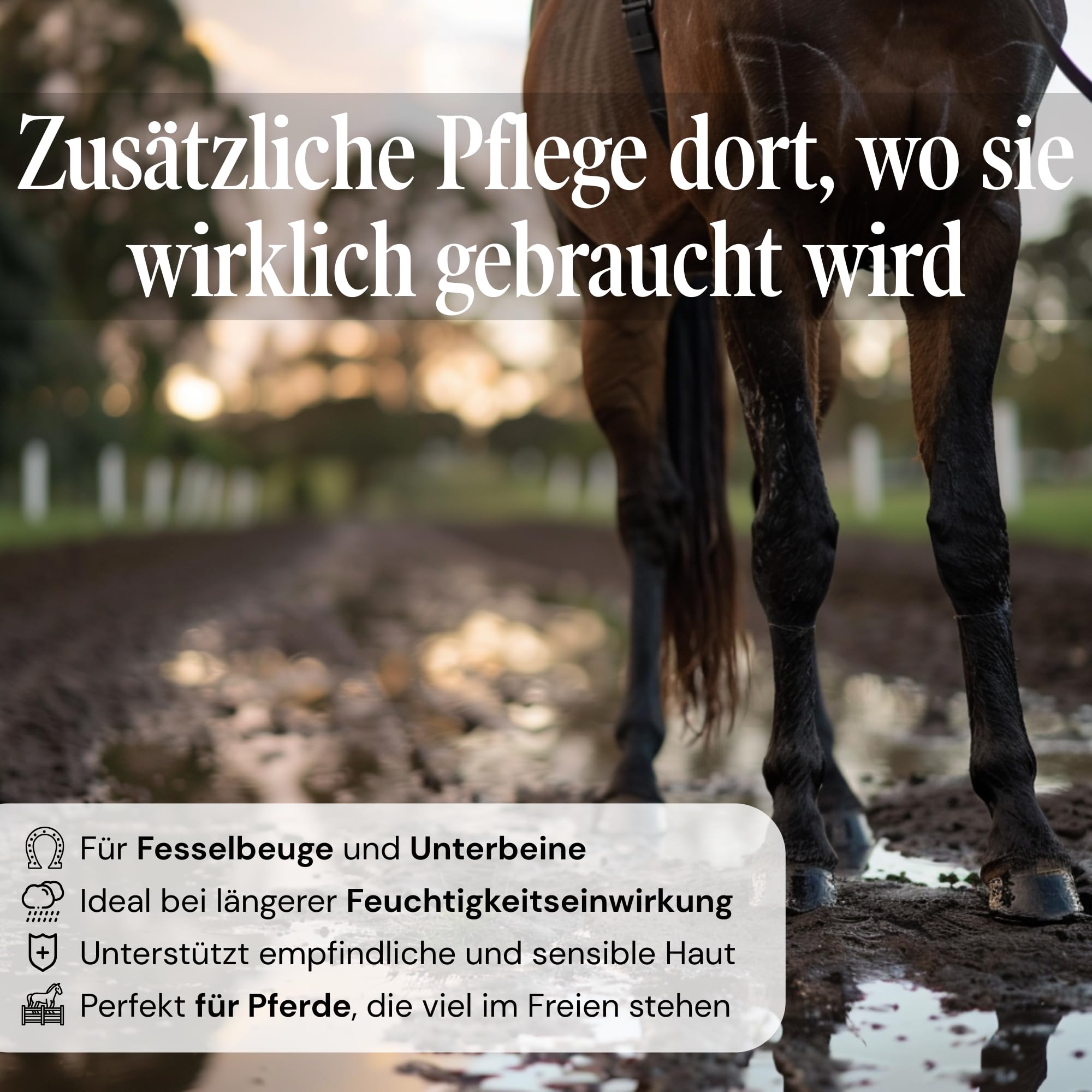 Sensi Horse Cream 300 ml – Pomada de zinc para caballos para pieles sensibles al Mauke – Protección impermeable para la flexión de las esposas y las piernas inferiores – con óxido de zinc – Desde 1990