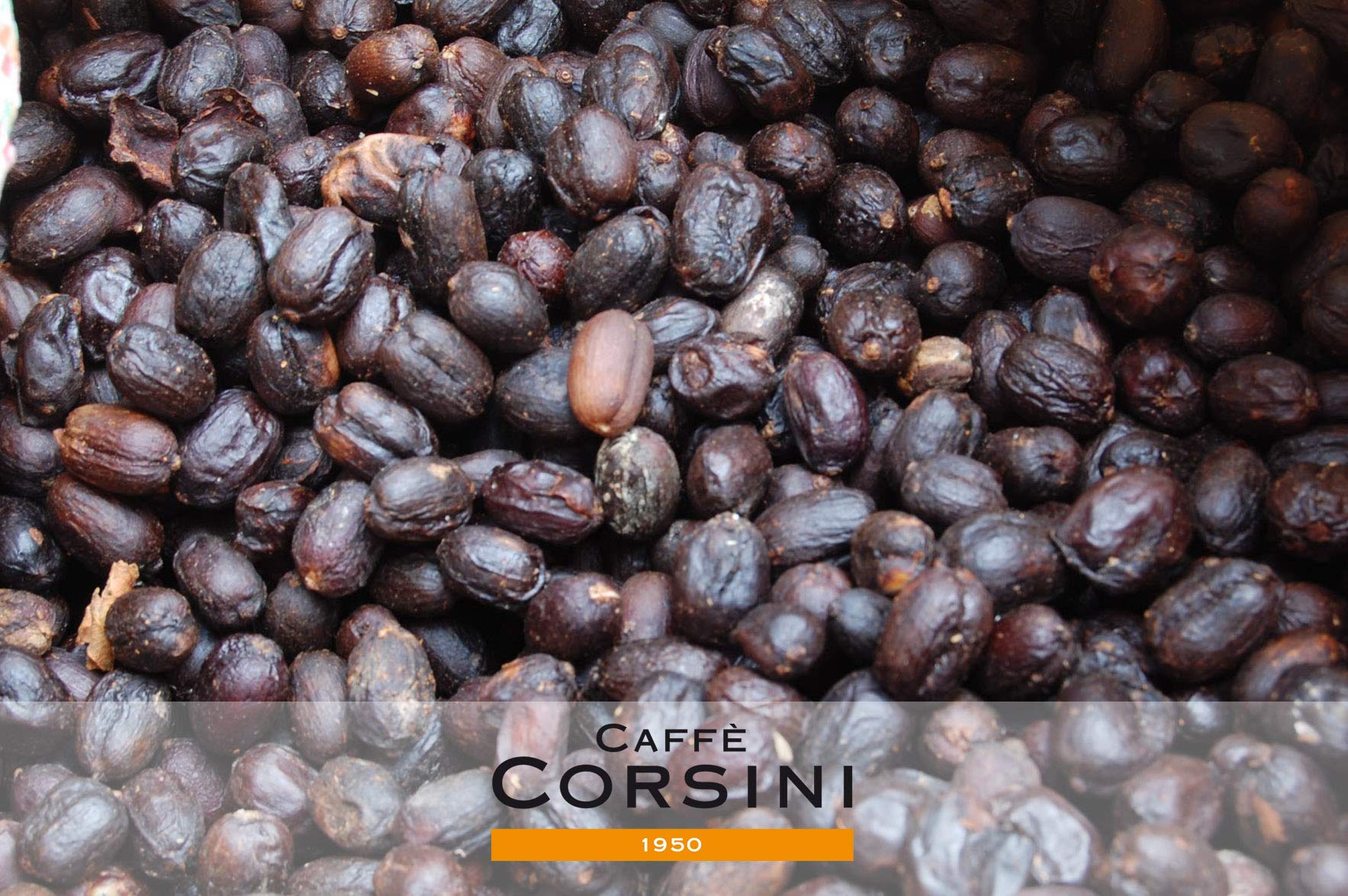 Caffè Corsini - Kawa Ziarnista 3x250g Compagnia Dell'Arabica Mix Gwatemala/Etiopia/Salwador, Single Origin, Łącznie 750 g