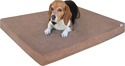 dog bed foam insert