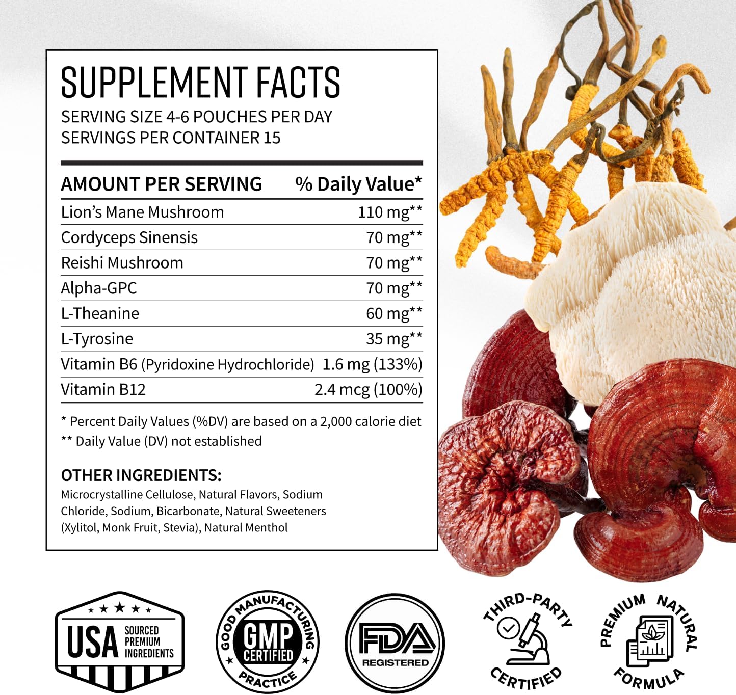 Adaptogen Mushroom Nootropic Pouches (5 Pack Wintergreen) - 250mg Mushroom + 165mg Energy Blend, Nicotine Free & Caffeine Free, Ultra Pouches with Lion's Mane, Cordyceps, Reishi, Alpha-GPC, L-Theanine