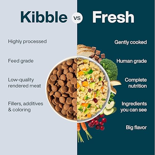 Miniatura 47 de JustFoodForDogs Alimento fresco congelado para perros, comida completa o alimento para perros, receta de alimento humano de carne de res y patata