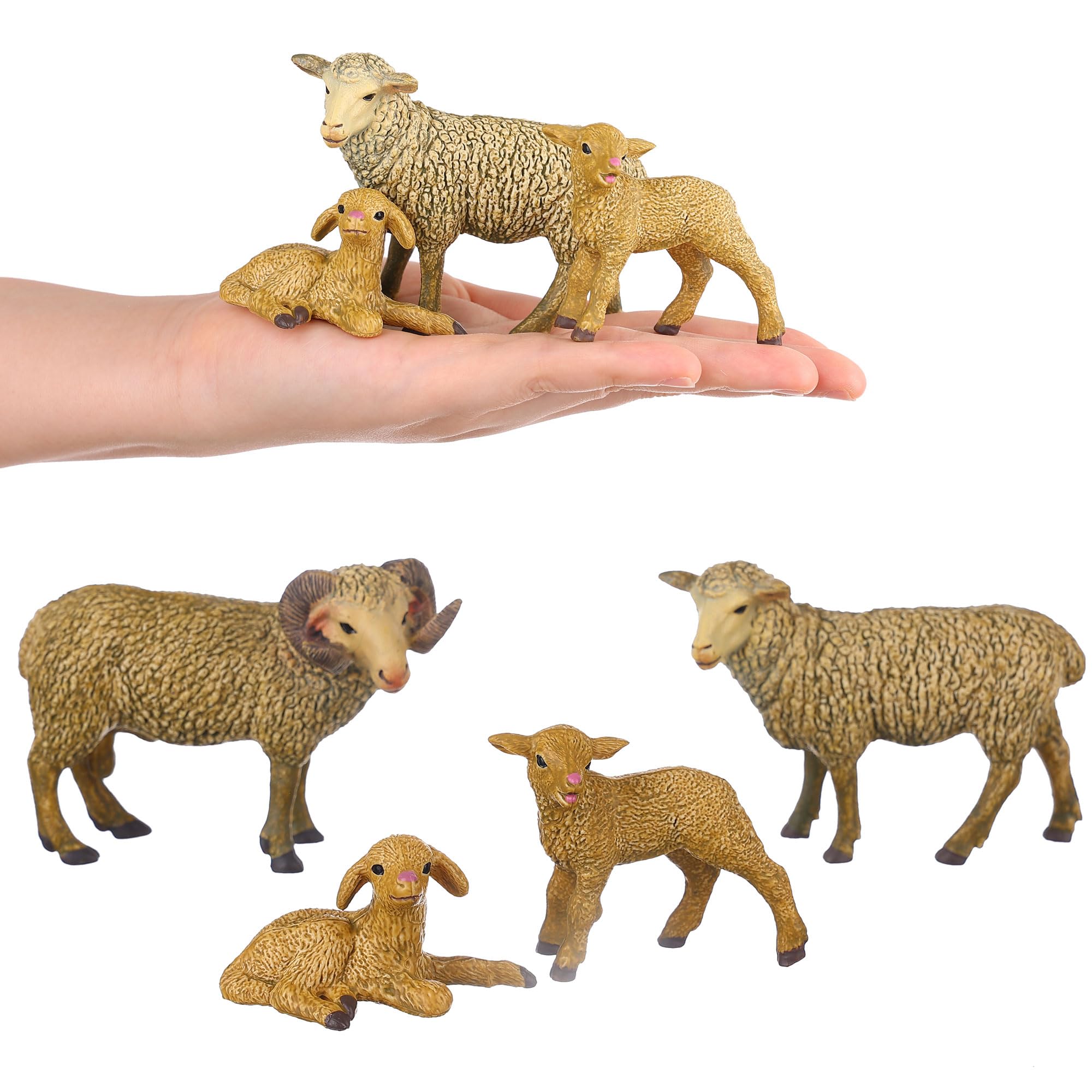 JOKFEICE Tierfiguren 4 Stück Kunststoff Schaf Familie Tiere Action Modell Wissenschaftsprojekt, Lernspielzeug - Image 4