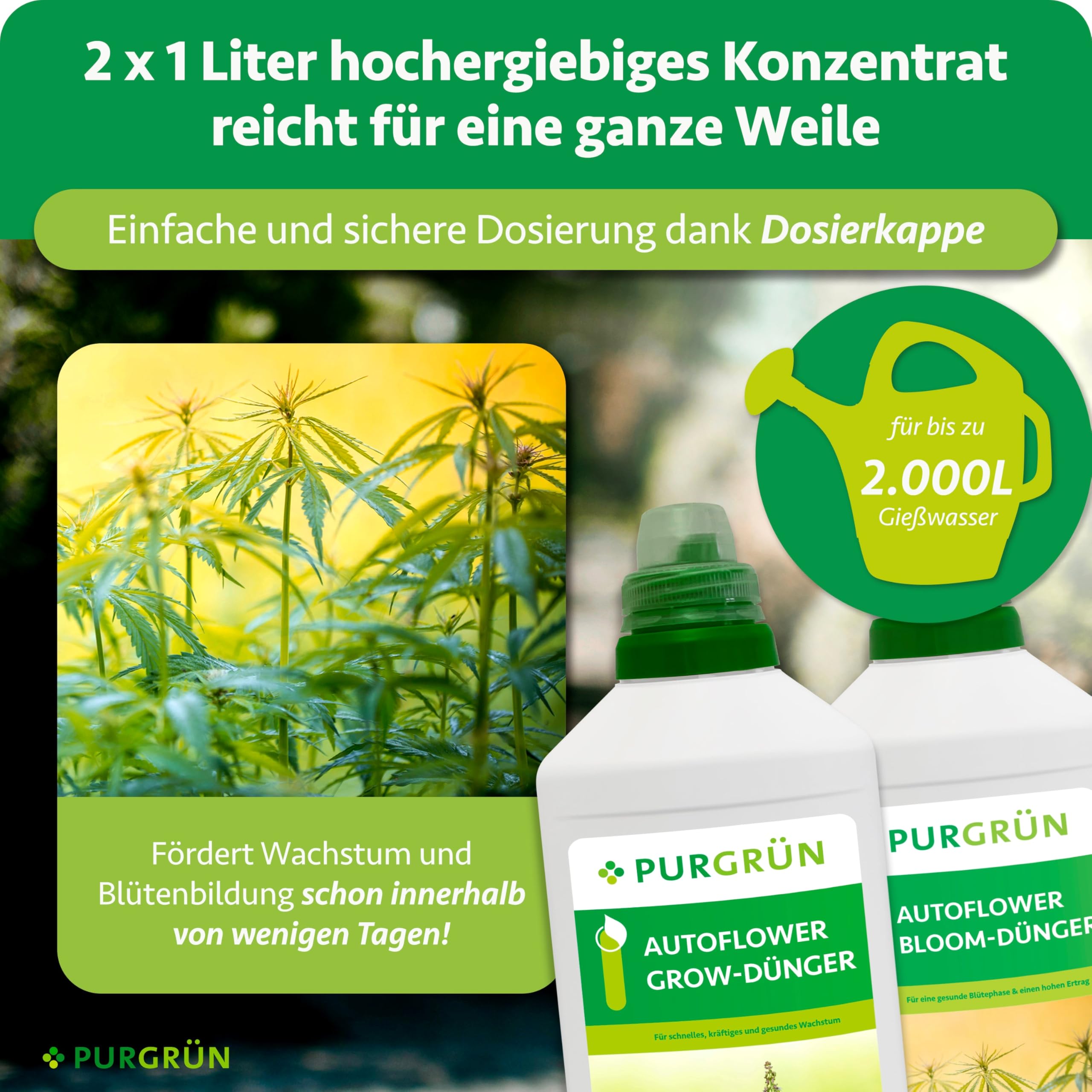 Autoflower-Dünger-Set 2 x 1 Liter – Schnell wirksame mineralische Rezeptur – Vollspektrum-Nährstoffe für Wachstum & Blüte – Flüssigdünger Indoor & Outdoor – Für eine ertragreiche Ernte