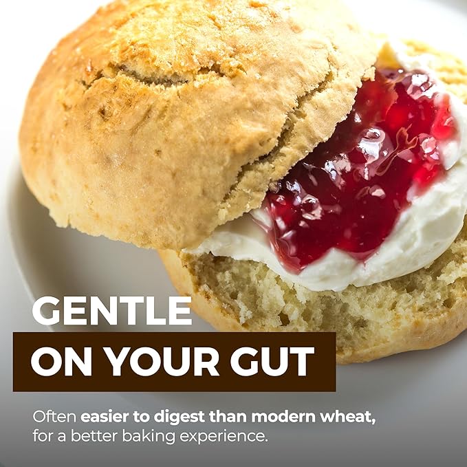 Harina de Kamut Integral 3 lb, Orgánica, Certificada Kosher miniatura 6