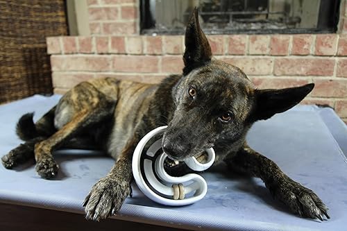 Miniatura 7 de StarMark Treat Ringer Herradura