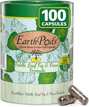 Earth Pods Fiddle Leaf Fig & Monstera Plant Food Spikes, 100 Capsules | Organic ficus & pothos fertilizer, no mess push in & water, gentle no harsh salts, made in USA, vegan, for rubber plants
