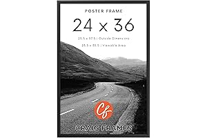 Craig Frames 24x36 Modern Black Poster Frame with Clear Plexiglass