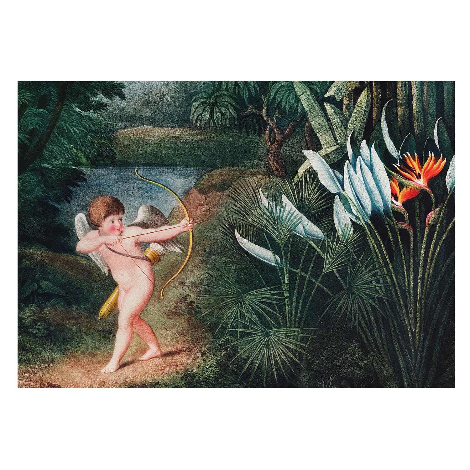 Mural Fotográfico Para Pared De Oficina 208x146 cm Cupido adorable