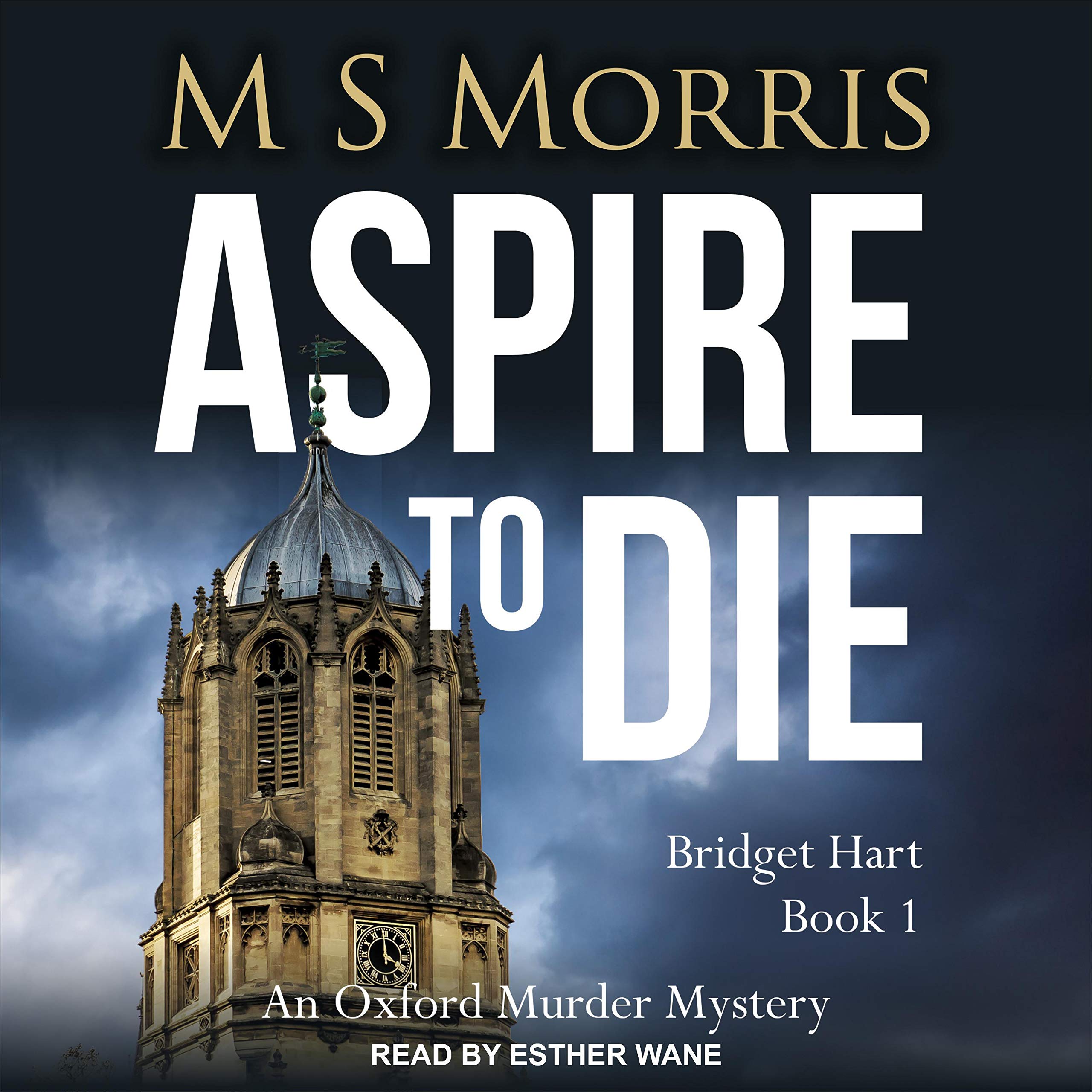 Cover art for Aspire to Die