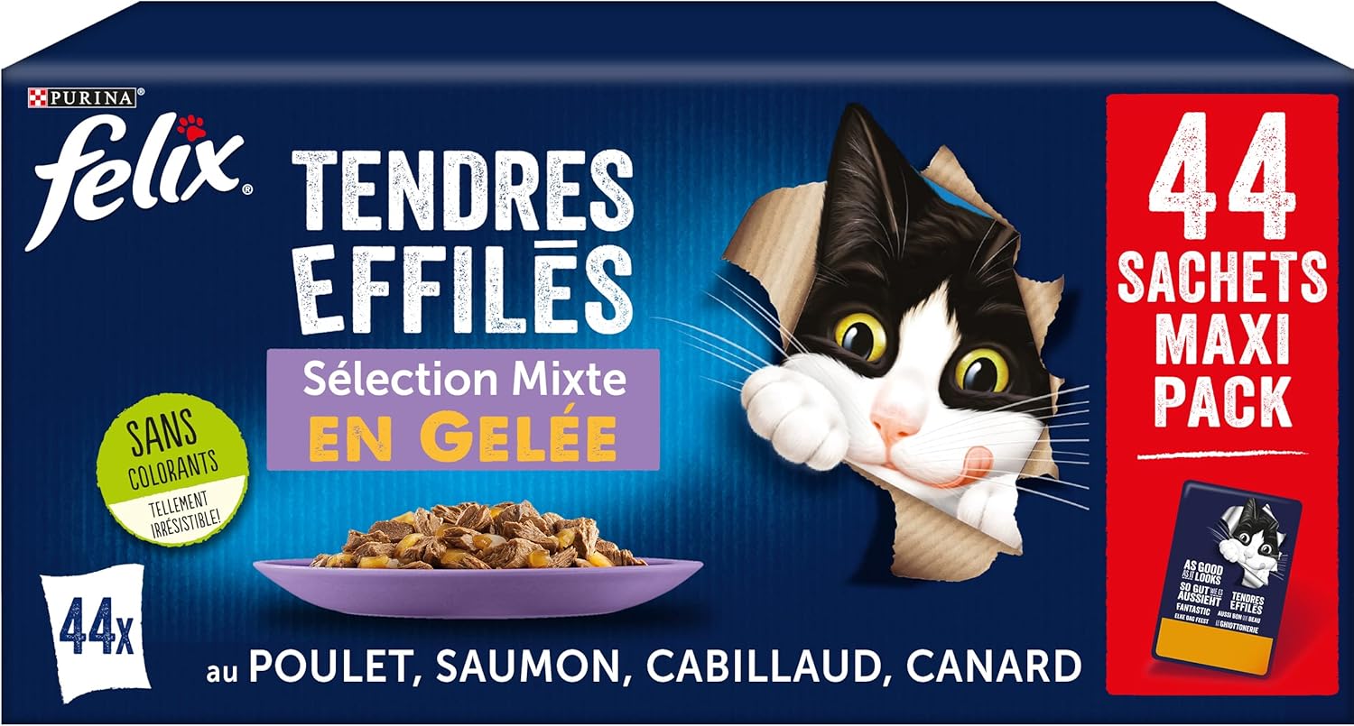 croquette diététique pour chat