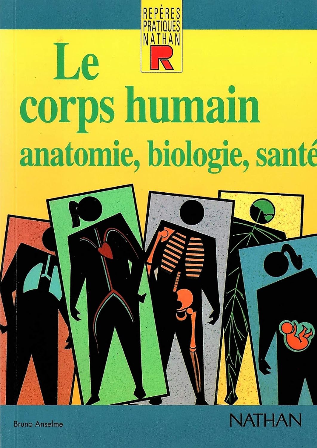 Amazon.fr Le corps humain Anatomie, biologie, santé Anselme, Bruno — free download