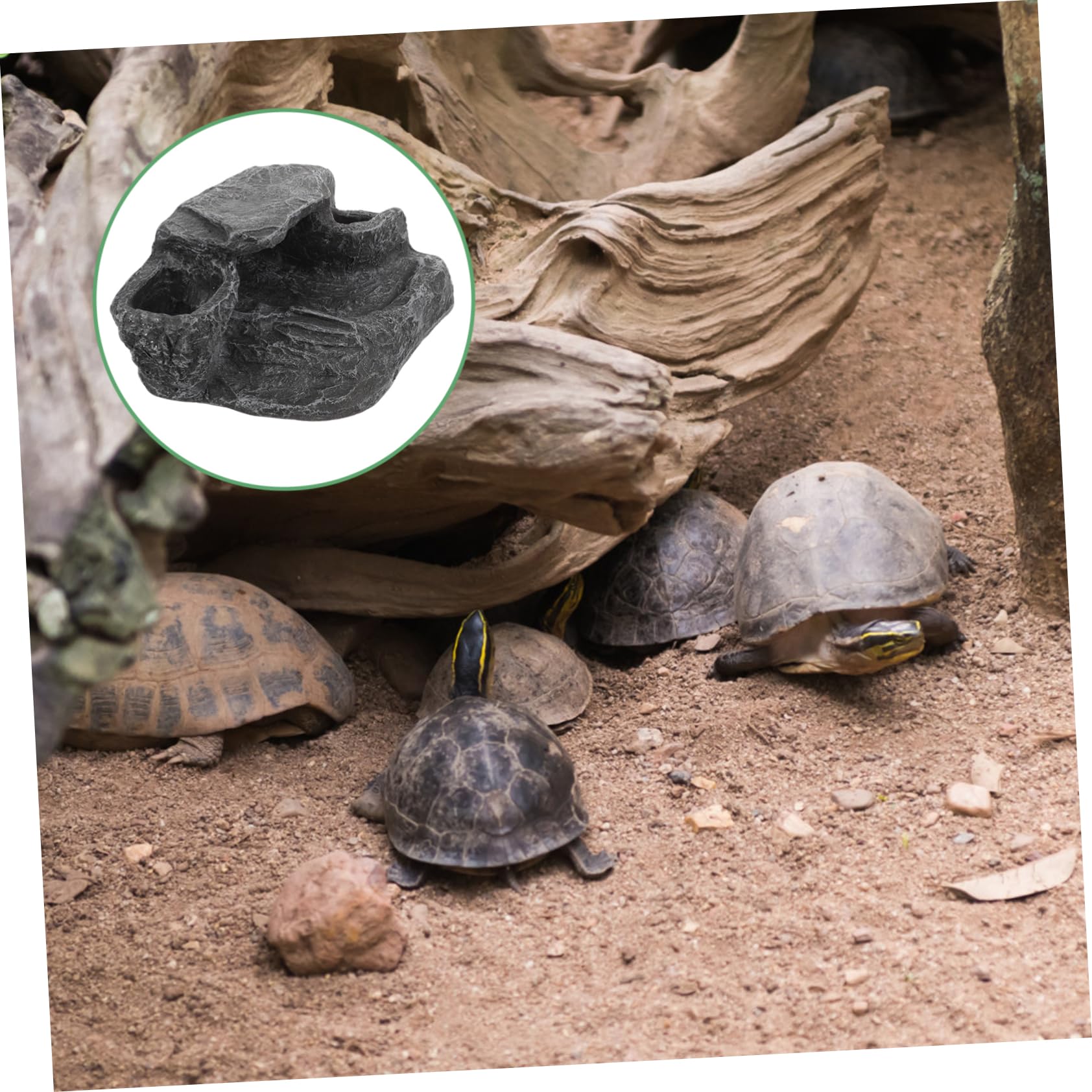COLLBATH Adornos Paisajísticos para Peceras De Tortugas Plataforma De Resina para Tortugas para Decorativa para Acuario y Suministros para De Agua