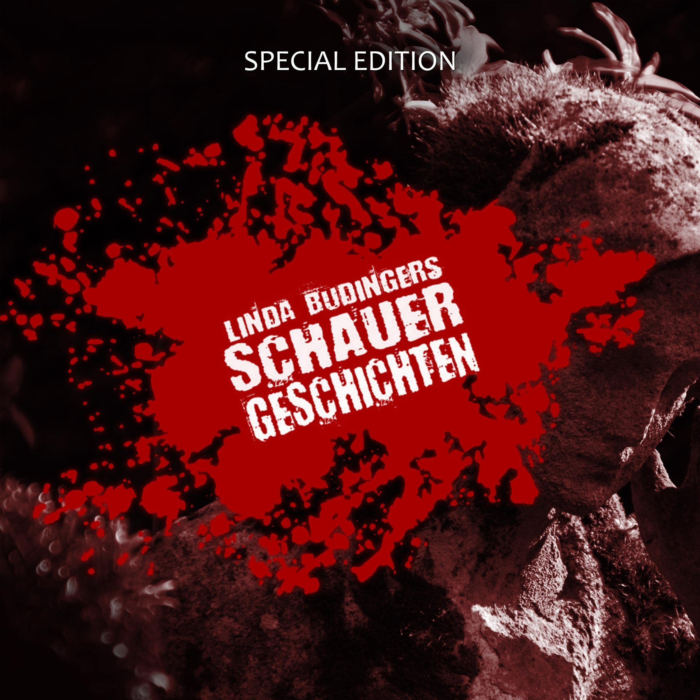 Cover art for Linda Budingers Schauergeschichten