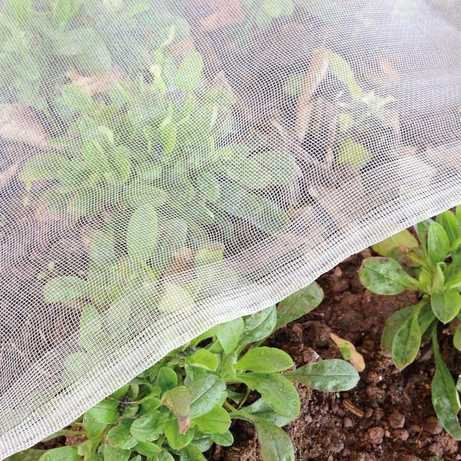 Red de jardín universal de 4 x 10 m, rollo antipájaros y plagas, color blanco, protector de malla eficaz para veterinarios y frutas, ideal para protección de plantas y defensa del jardín