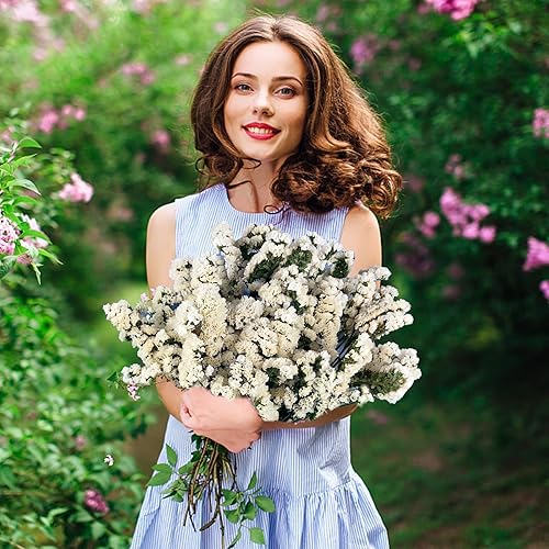 Miniatura 6 de Ramo de lavanda marina de flores secas, estática real 100% natural, más de 100 ramas, flor blanca preservada, paquete de lavanda seca de 12 pulgadas