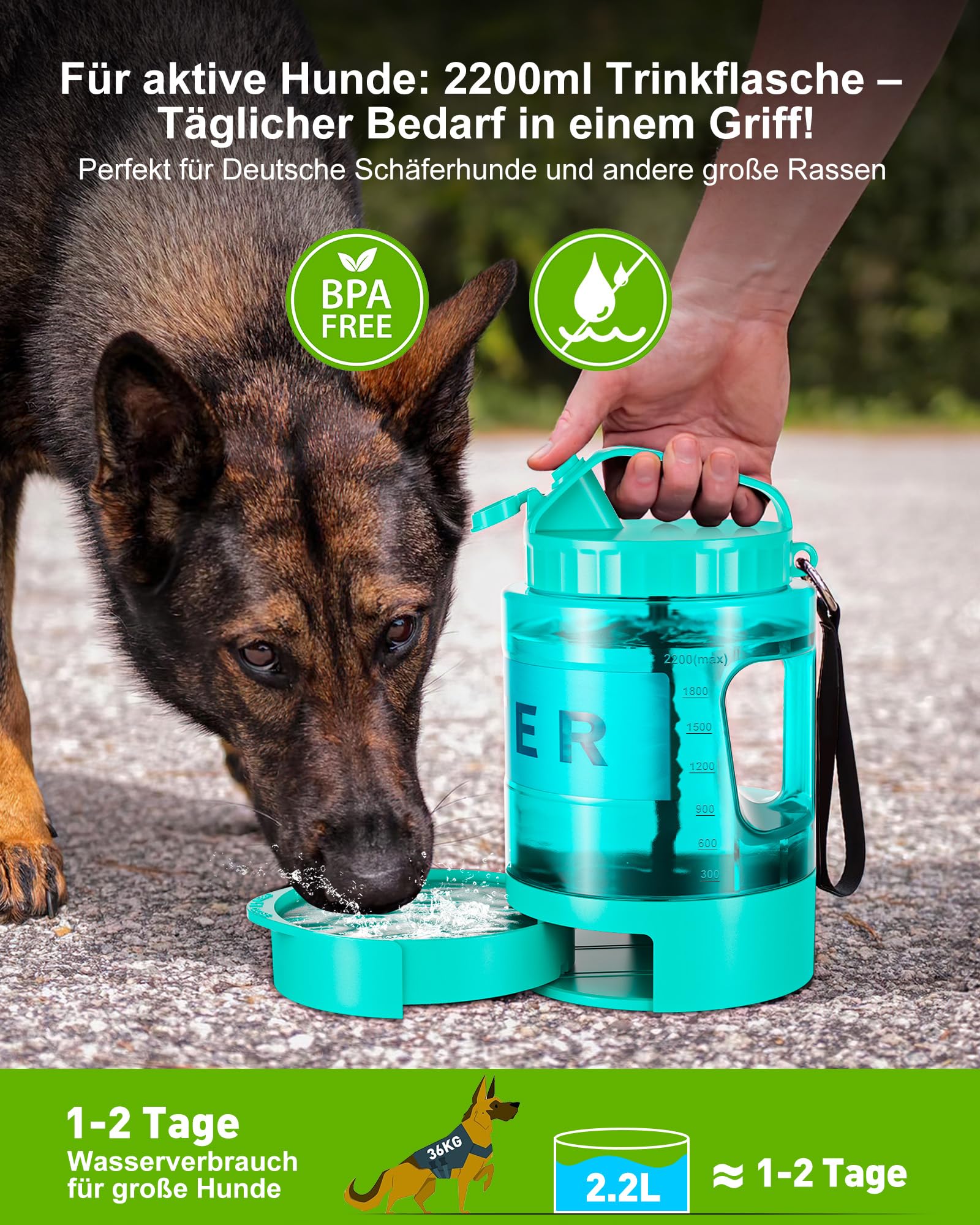 lesotc 2200ml Borraccia per Cani Portatile, Borraccia Cane Portatile – Ciotola Anti‑Perdita, Indispensabile per Attività All'Aperto, Viaggi, Passeggiate, Campeggio, Spiaggia, Ecc （Verde Menta）