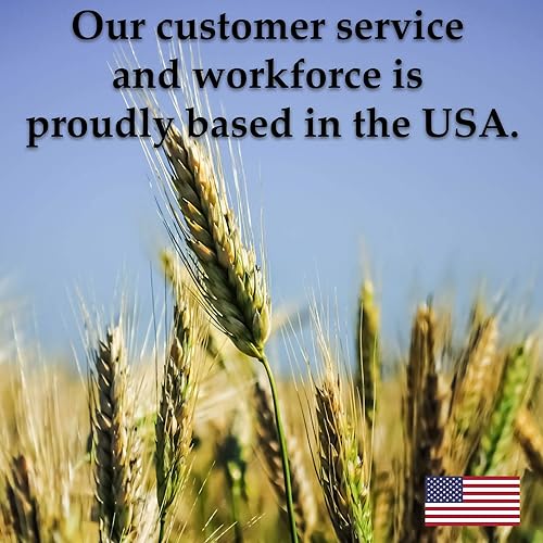 Miniatura 7 de Mountain Valley Seed Company - Semillas de vegetales de rúcula sin OMG de 1 libra para jardín al aire libre y ensalada de interior Microgreens -