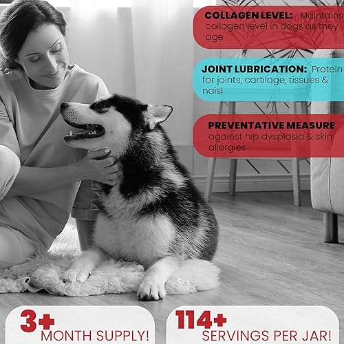 Miniatura 6 de Concentrado de polvo de caldo de hueso K9 Proteína orgánica de cáñamo de cúrcuma  Mejora la salud intestinal, alergias, sensibilidad alimentaria e