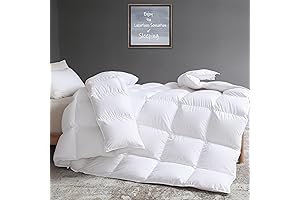 Goose Down Comforter Queen Size: 100% Cotton Duvet Insert