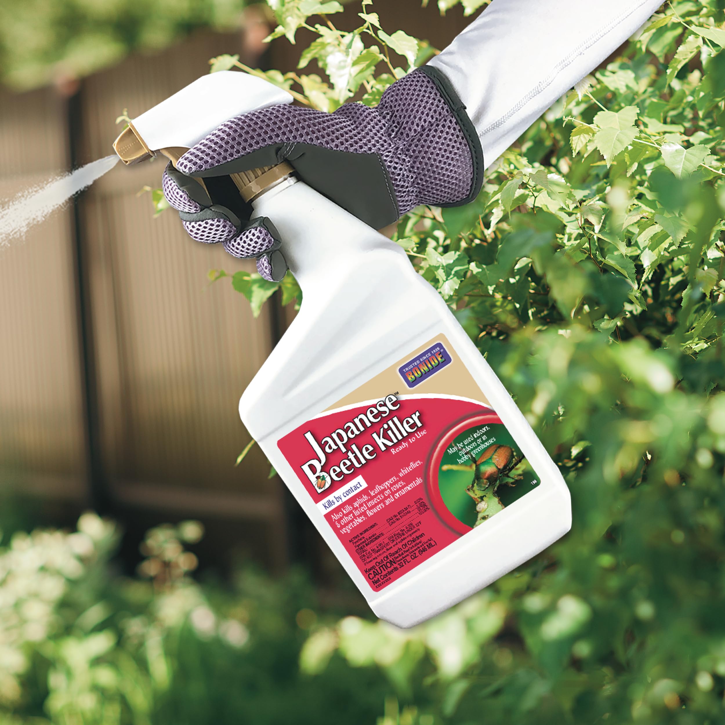 Amazon.com: Bonide Japanese Beetle Killer Ready-to-Use Spray, 32