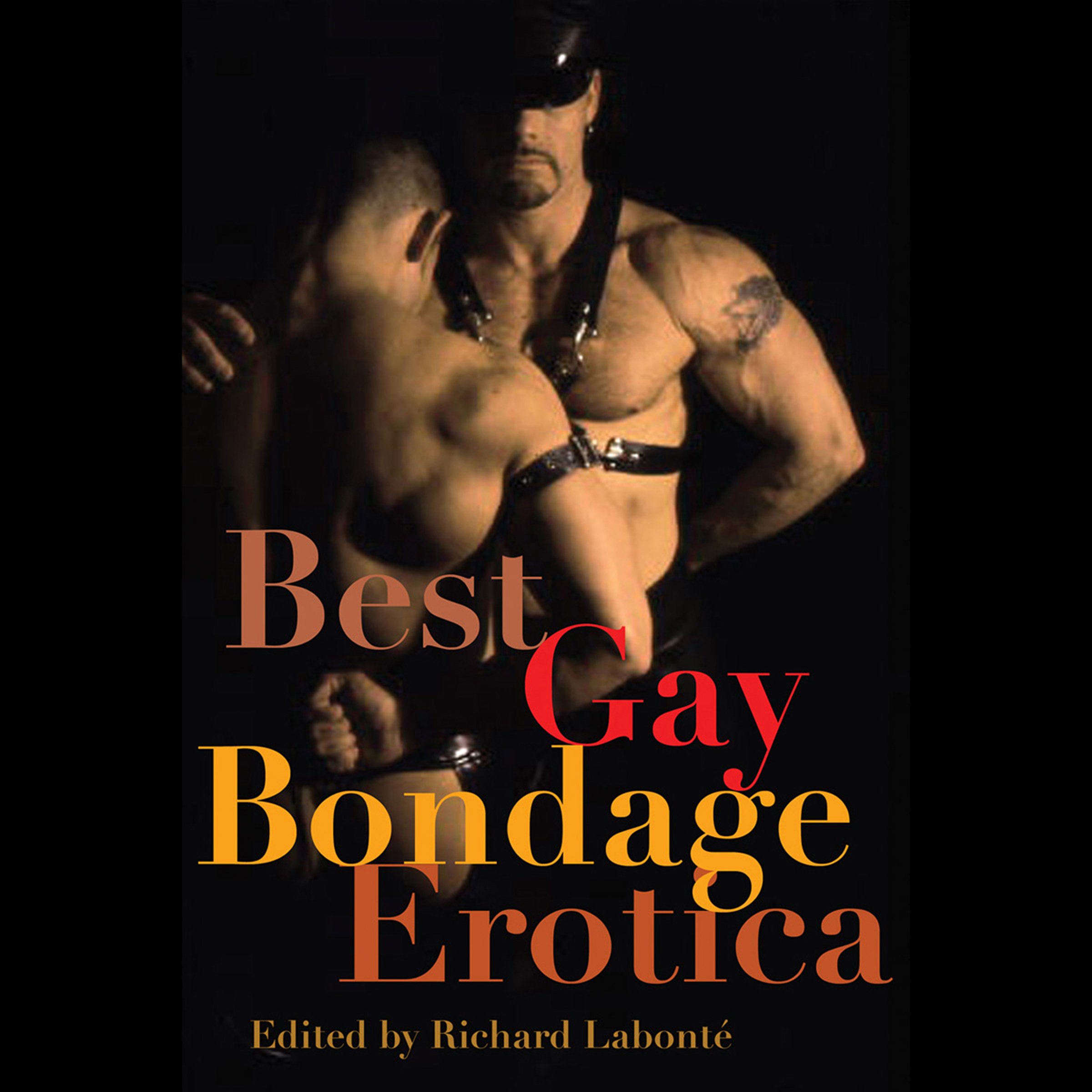 Best Gay Bondage Erotica