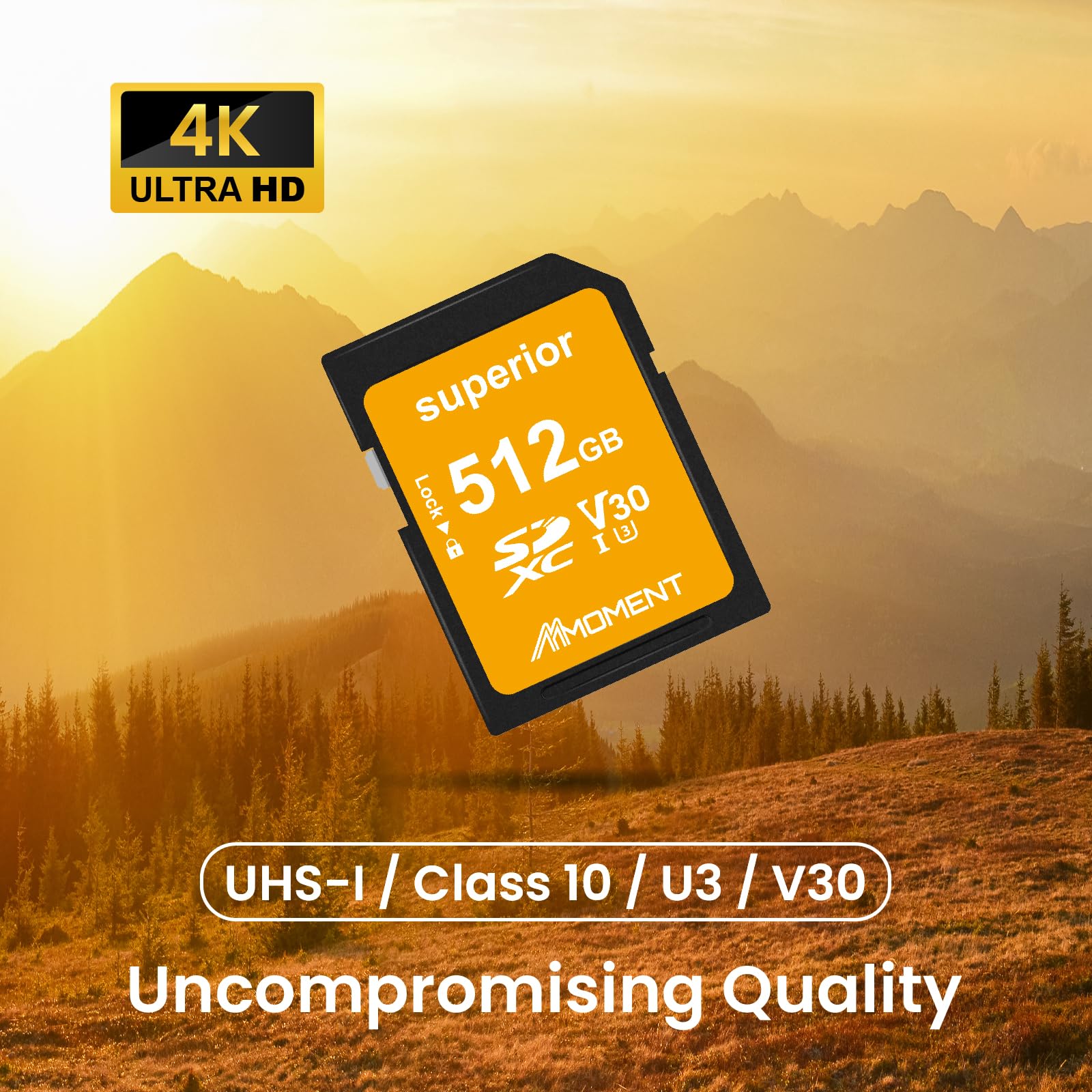 MMOMENT Scheda SD da 512 GB UHS-I U3 V30 classe 10 ad alta velocità SDXC - Fino a 95 MB/s in lettura, 55 MB/s in scrittura, compatibile con fotocamere DSLR, laptop, videocamere, video 4K UHD