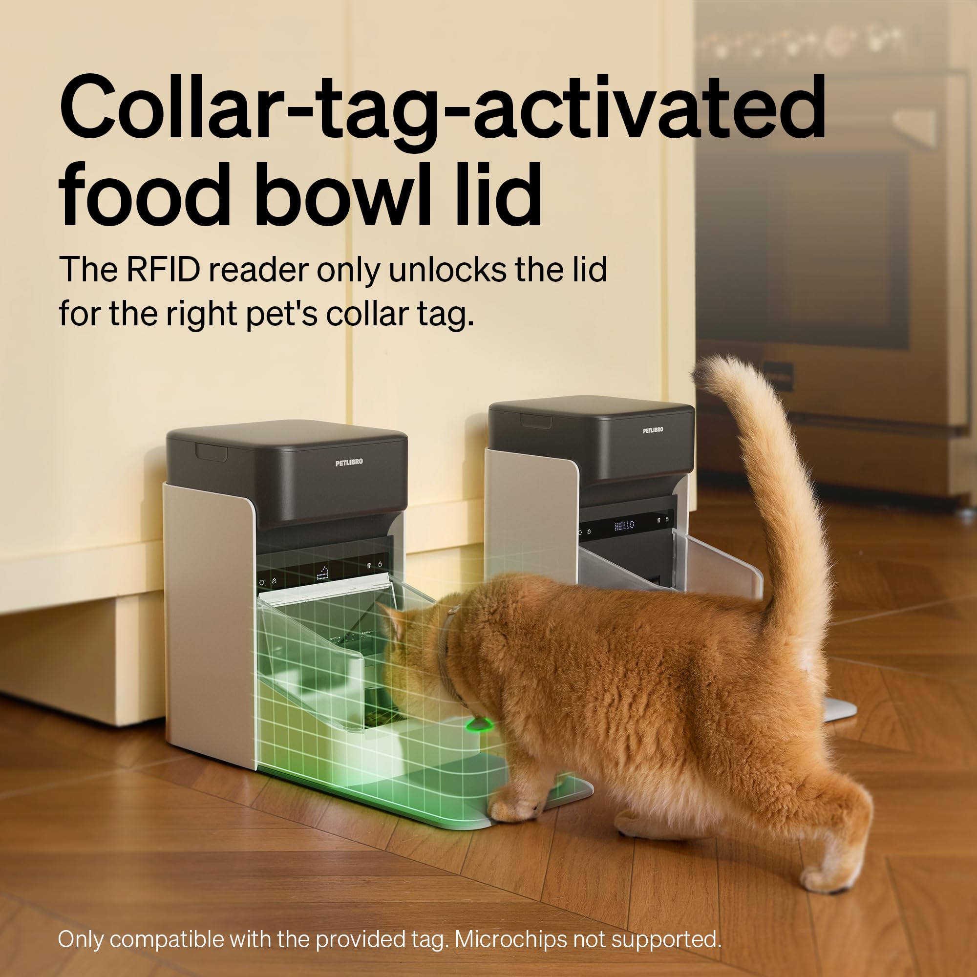 PETLIBRO RFID Automatic Cat Feeder, Collar Sensor-Activated Personalized Meals, Cats Recognition & Diet Tracking for Cats with Special Dietary Needs and Prevents Food Stealing - image 7