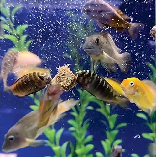 Miniatura 6 de Gusanos negros de California liofilizados, totalmente naturales, (más de 100 cubos), perfectos para acuarios marinos y tropicales, alto contenido de