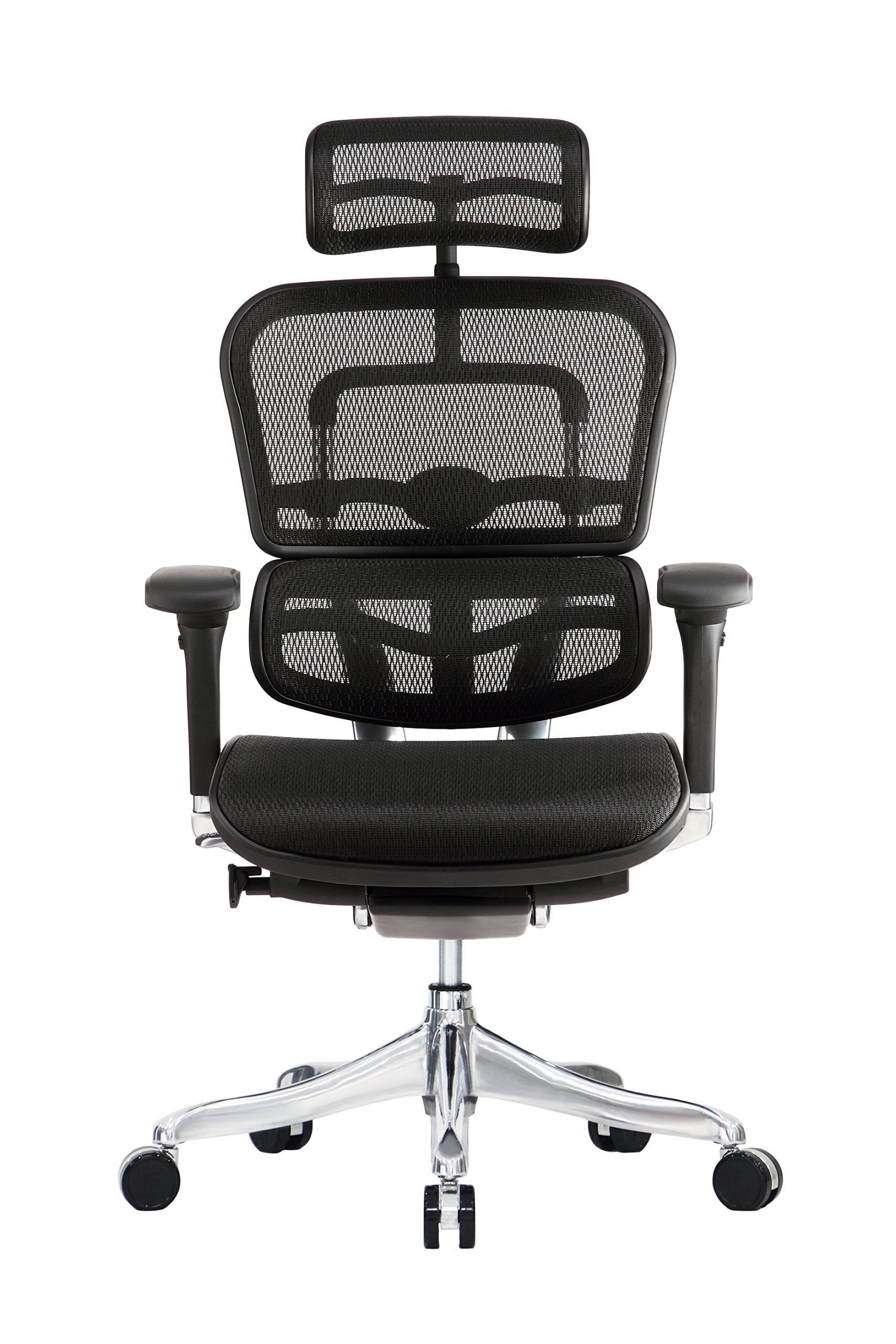 Raynor Ergohuman Ergohuman V2 Chair Ergohuman Elite Mesh Office