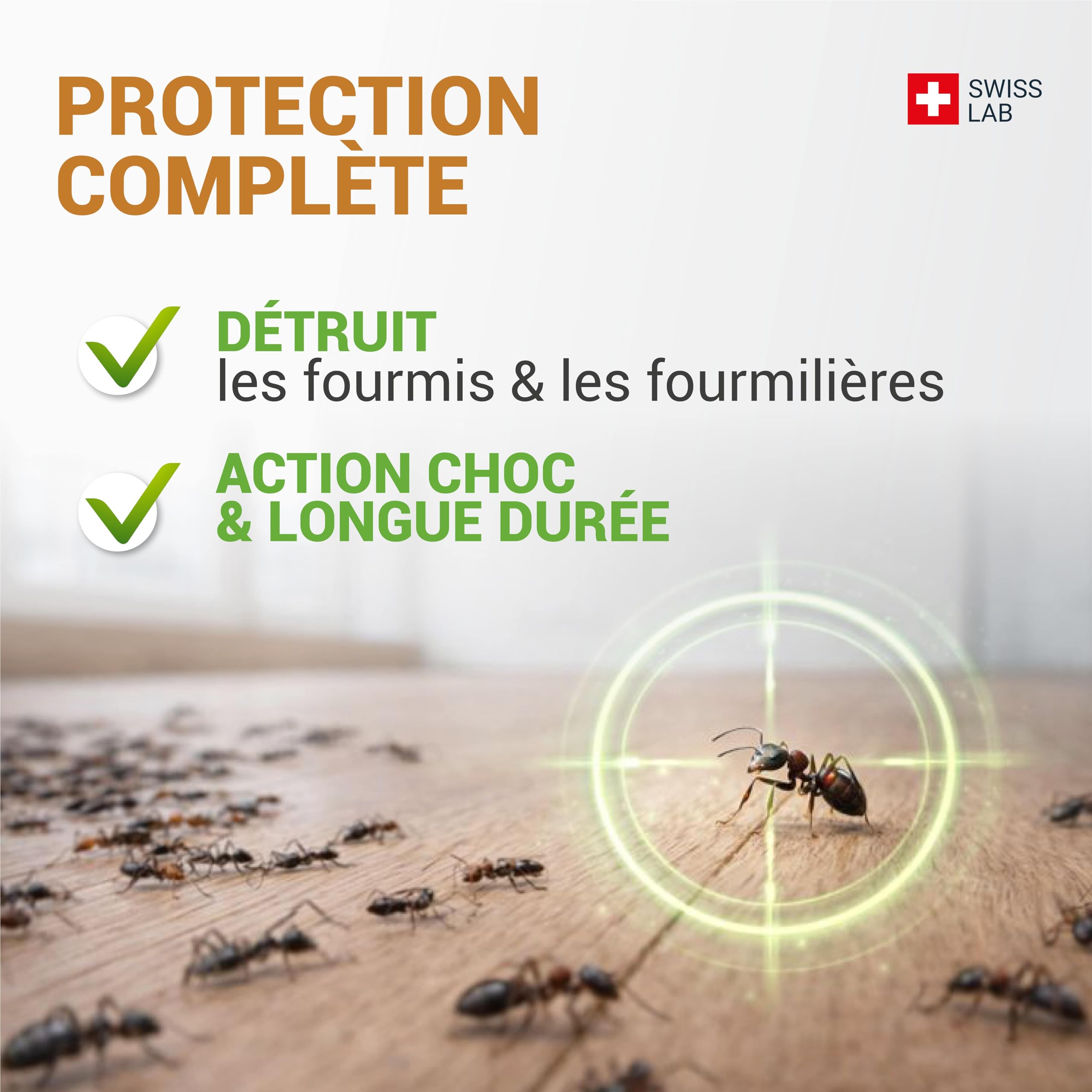 TERRE DE DIATOMÉE MENTHE FOURMIS– EFFICACITÉ FOUDROYANTE – 100% d'ORIGINE NATURELLE - Action IMMÉDIATE et EFFICACE - Swiss Lab
