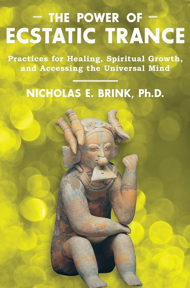 洋書 CONSCIOUSNESS BIOENERGY AND HEALING Consciousness, Bioenergy and Healing: Self Healing and