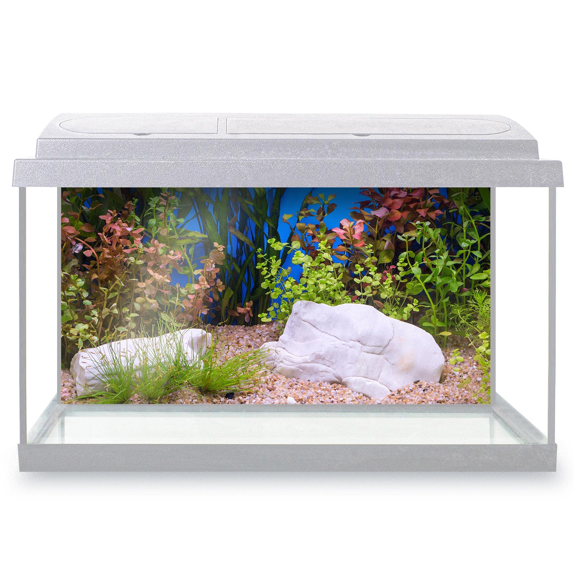 DV DESIGN Aquarium Fish Tank Background 62x32 cm - Green Beautiful Plant Tropical Freshwater Ocean Sea Marine Landscape Static Cling Vinyl Vivarium Terrarium External Application #500052