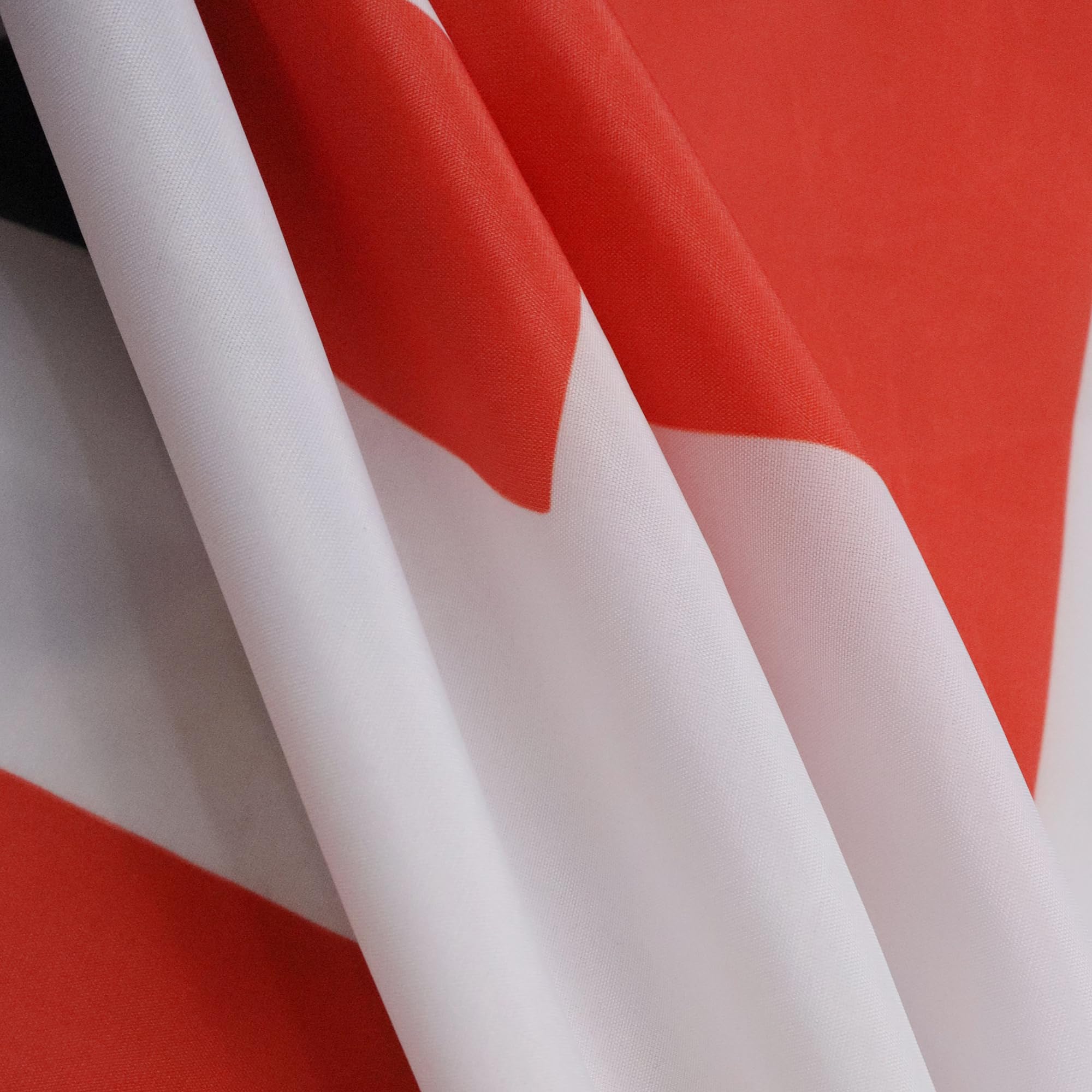 Bandera Trump 2024 León Republicano 3x5 Pies - Material Resistente 100D Tejido - Ideal Para Patriotas Y Mítines