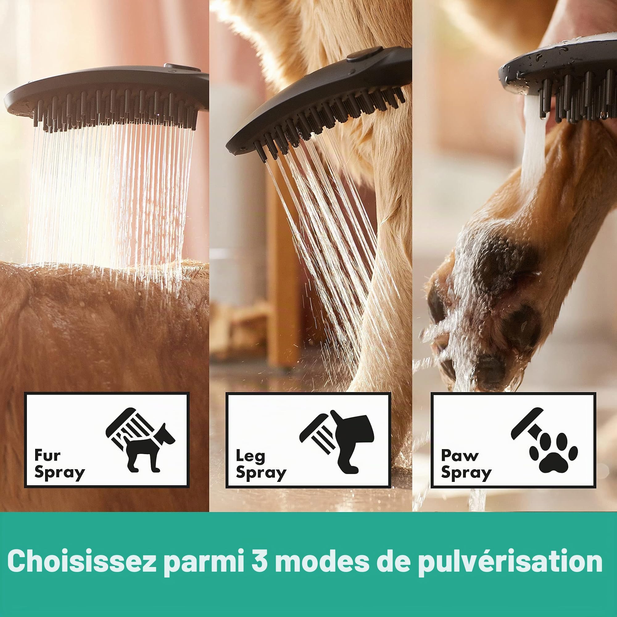 hansgrohe DogShower Douchette pour chien 150 3 jet avec buses massantes, noir mat, 26640670