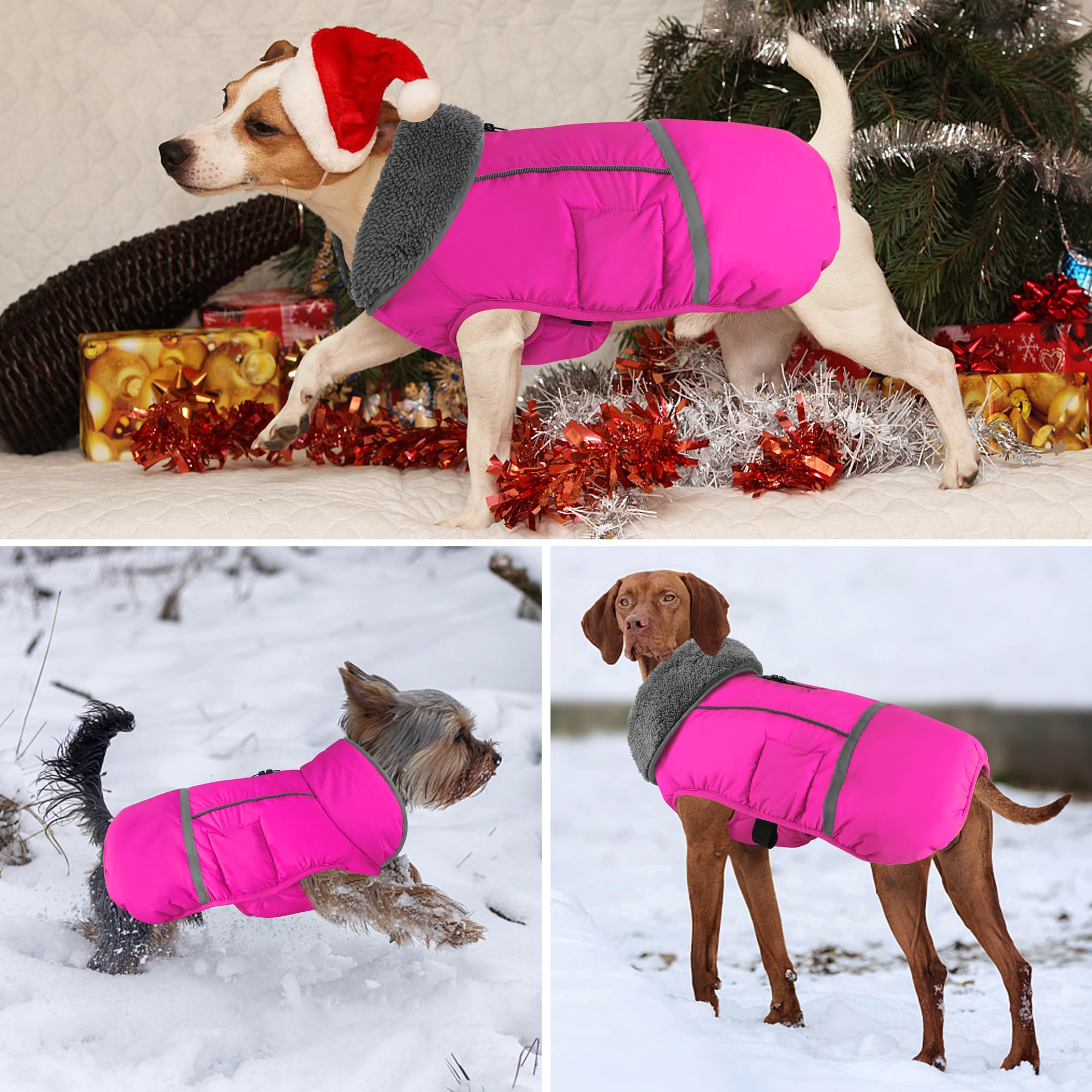 Dogcheer Manteau d'hiver pour chien, Accessoire pour chien, Veste d