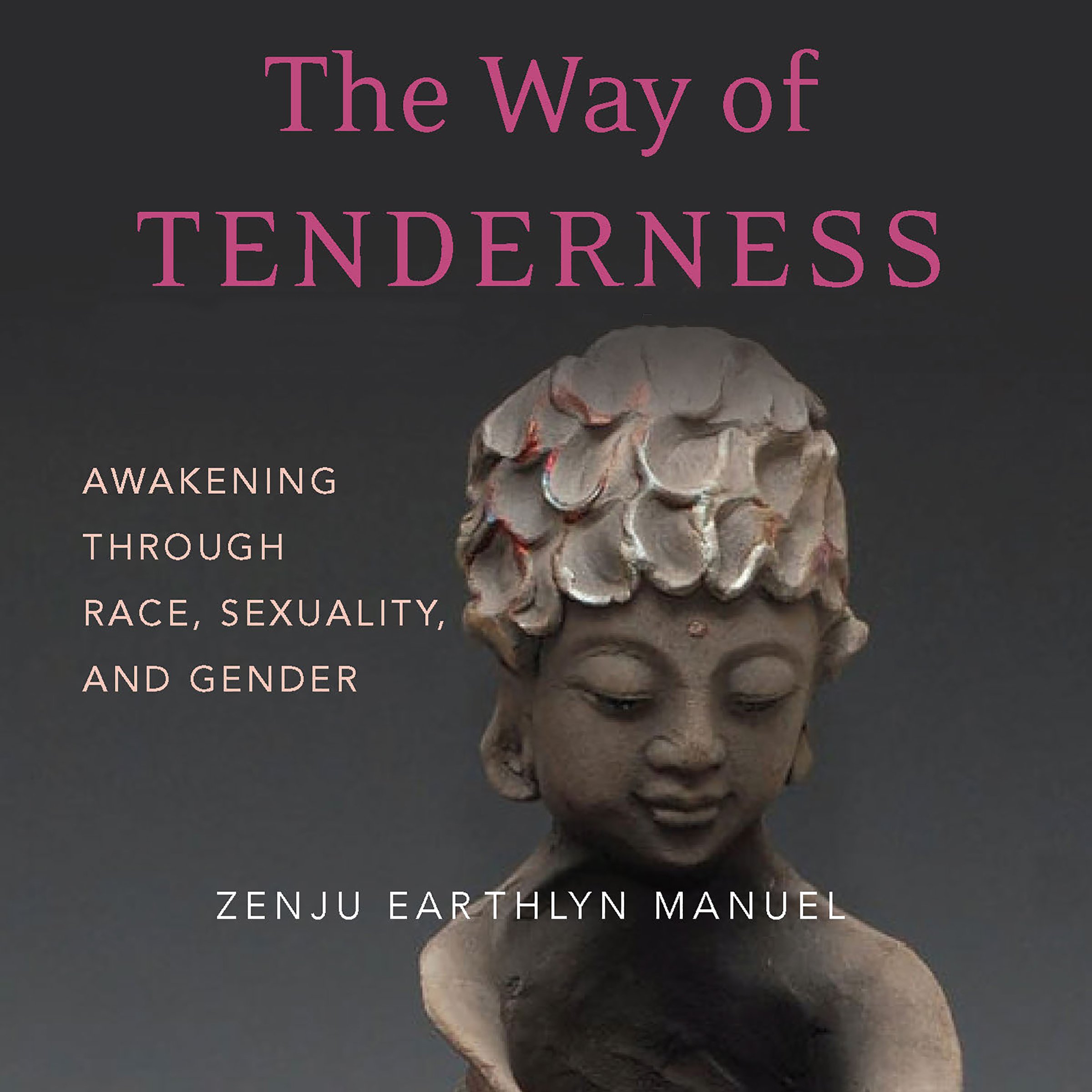 Cover art for The Way of Tenderness