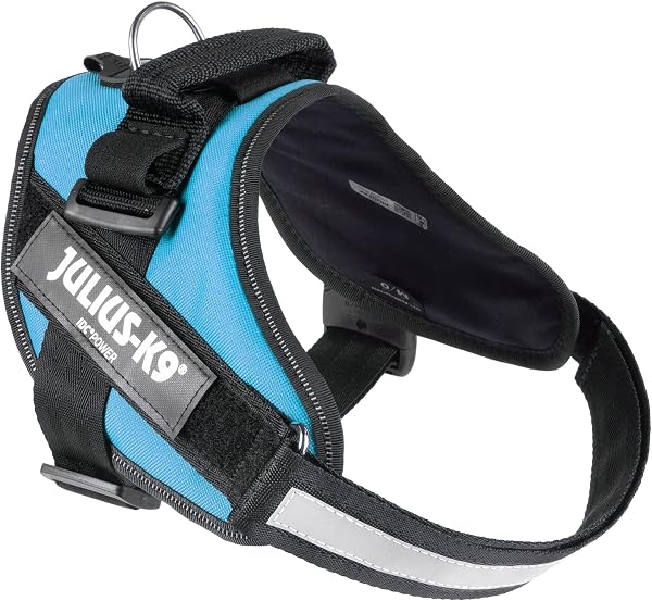 Julius-K9, Pettorina IDC Power, Taglia: M / 0, Colore: Acquamarina - 2