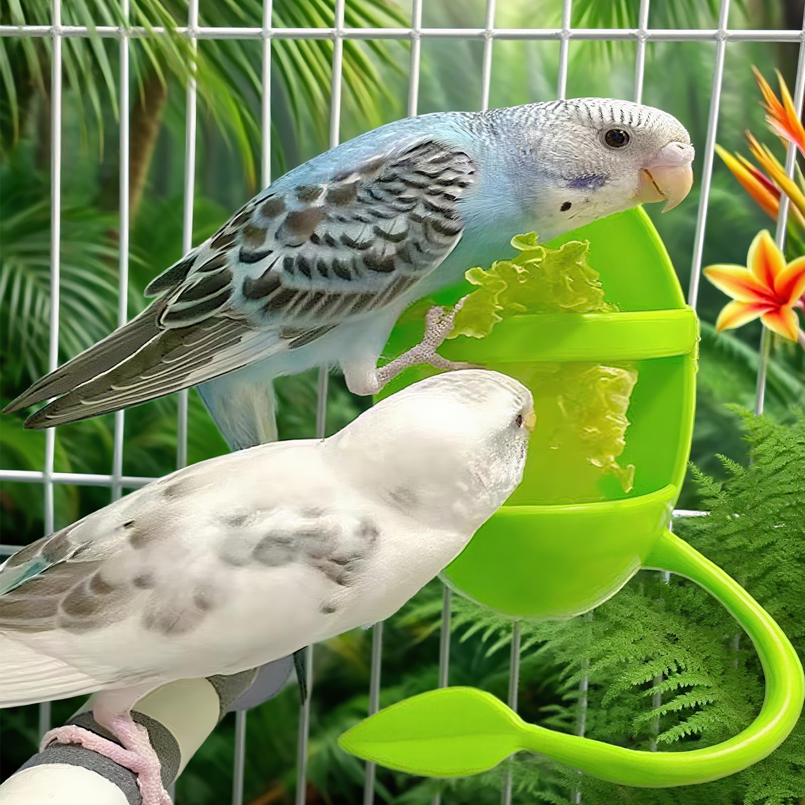 2pcs Cuttlebone Holder for Bird Cage, Plastic Food Holder for Cuttlebone for Birds, Parakeets, Cockatiels, Budgies and Finches - Cuddle Bones Feeding Rack - image 7
