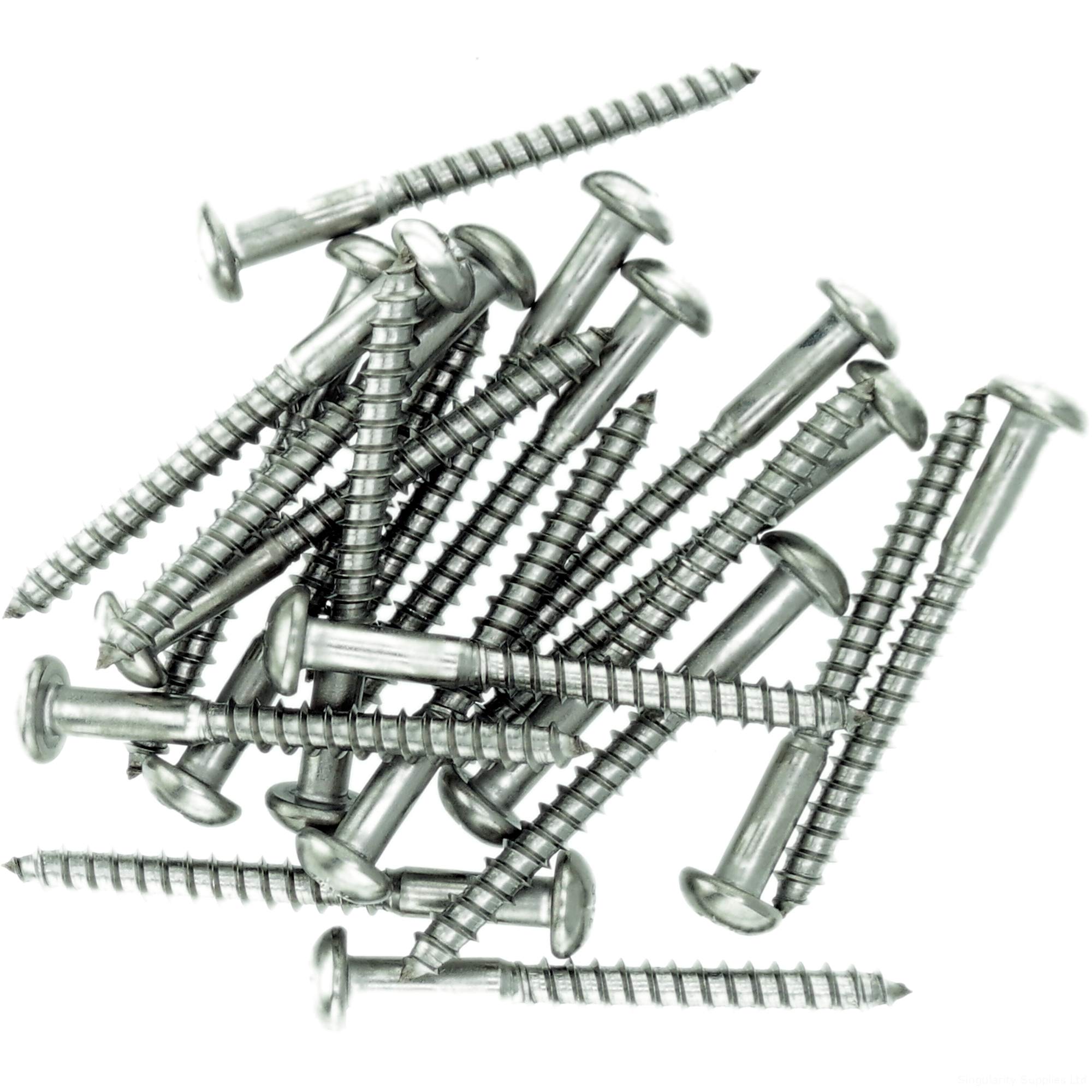 Singularity Supplies No.10 X 1.18 (5.0Mm X 30Mm) Pozi Pan Wood Screw - Stainless Steel (A2) (Pack Of 20)