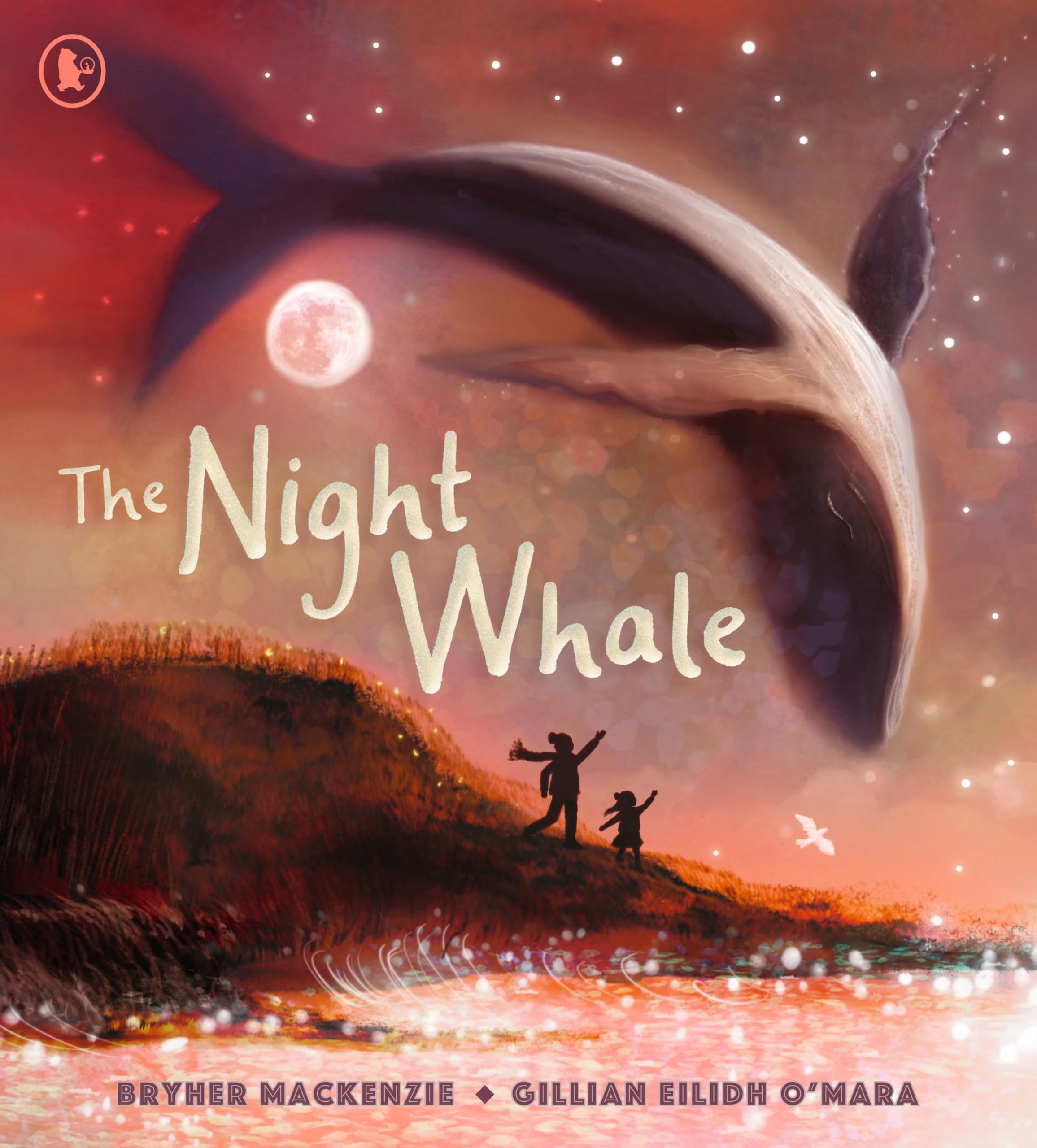 The Night Whale by Bryher Mackenzie PAPERBACK 9781529506617
