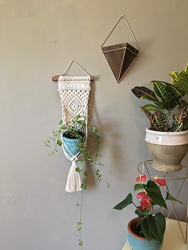 Miniatura 3 de WILD COTTON Fiber Arts Macrame Plant Hanger Indoor Wall Hanging Planter Basket Long Flower Pot Holder Boho Home Decor, 30 Inch