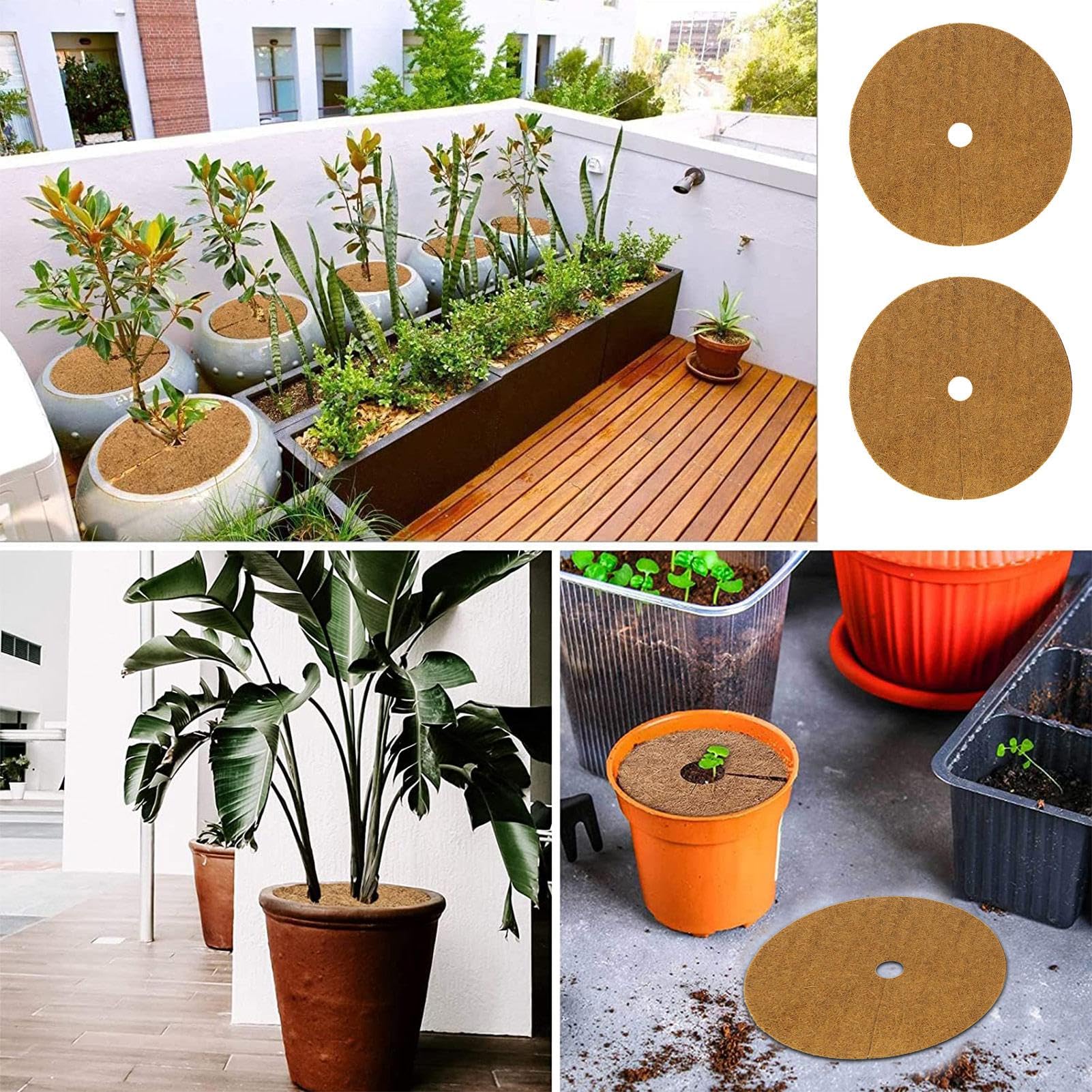 ZeeDix 6 Tappetini Pacciamanti In Fibra Di Cocco Per Alberi - Diametro 61 Cm, Foro 4 Cm - Proteggi Le Radici E Previeni Le Erbacce