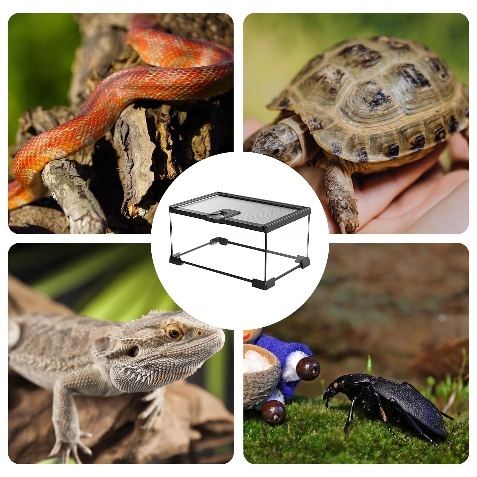 Reptilien Amphibien Tank Tragbar Sicher Klarglas Belüftet Sicher | Echsenbecken mit Rundumsicht Geeignet für Schildkrötenkäfig, Echsenbehausung, Schlangengehege, Geckobecken,