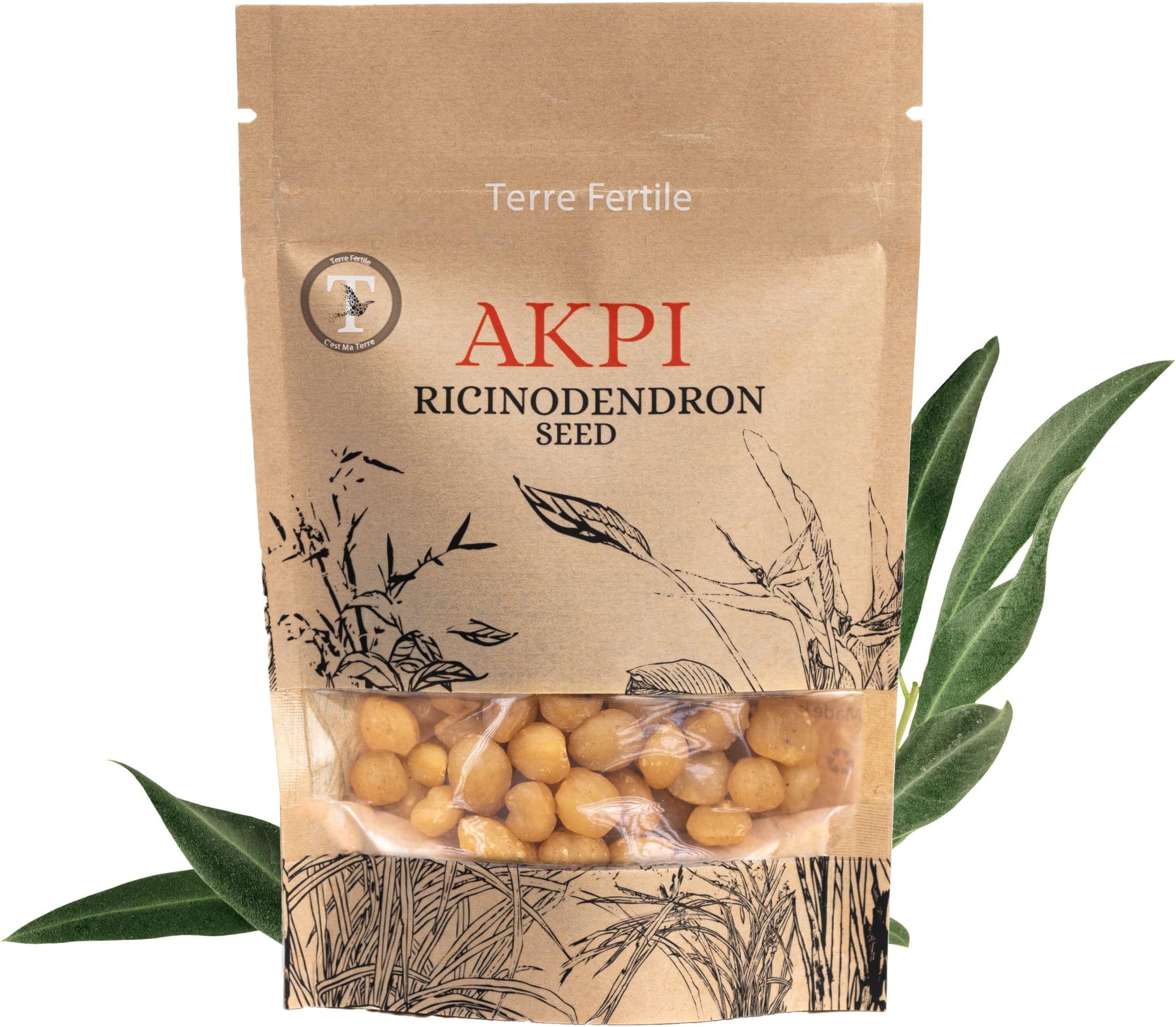 Terre Fertileโข โ AKPI Seeds โ Djansang/Jansang โ 100% Natural & Organic Product โ African Spice