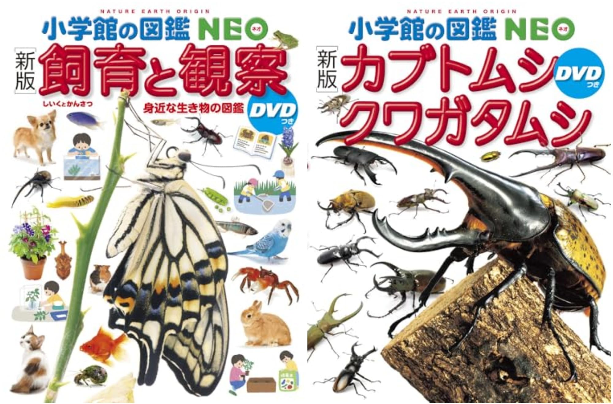 図鑑NEO_飼育と観察_カブクワ_2冊セット |本 | 通販 | Amazon