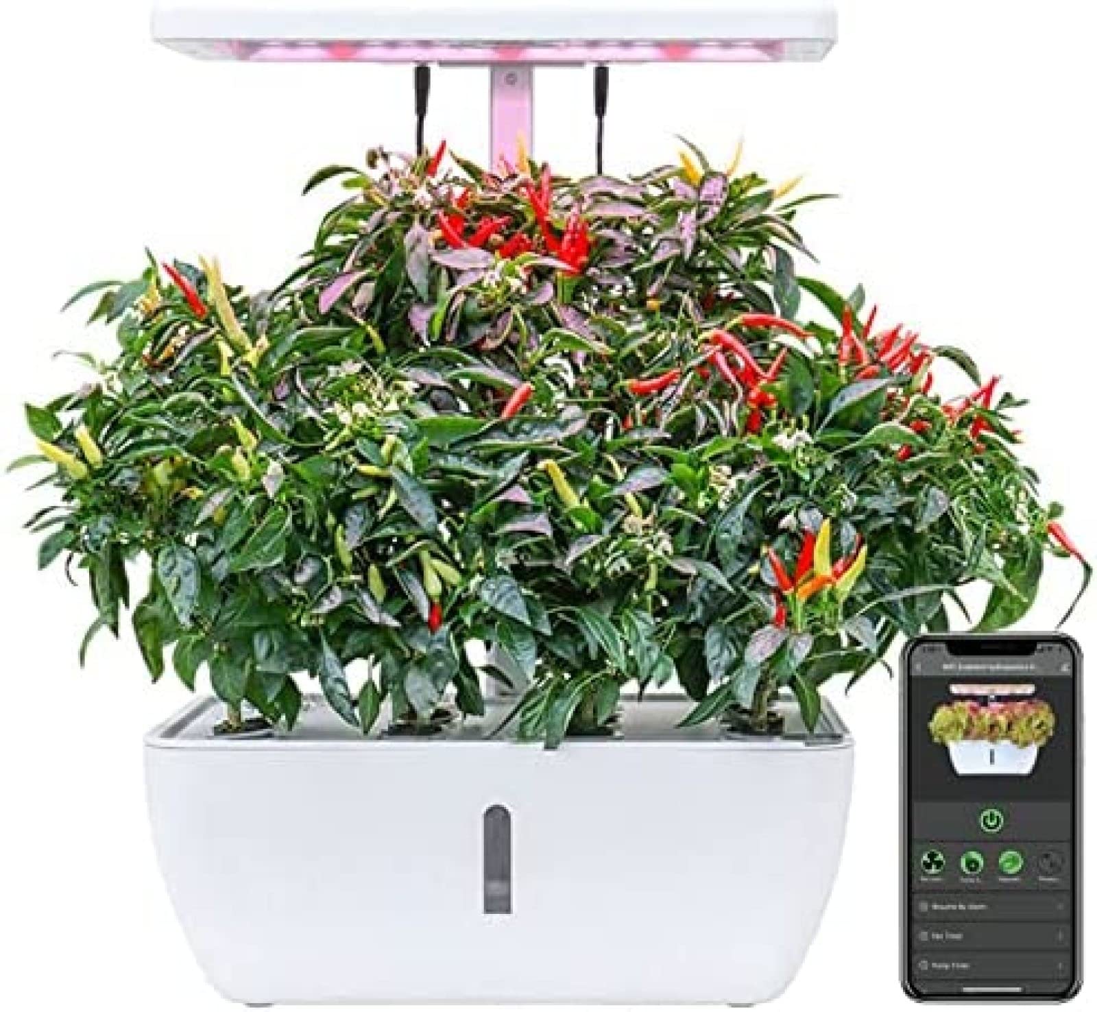 de Cultivo hidropónico WiFi para Interiores, Kit de jardín de Hierbas hidropónicas de 12 cápsulas con luz LED, de germinación de Cultivo hidropónico para jardinería Interior,