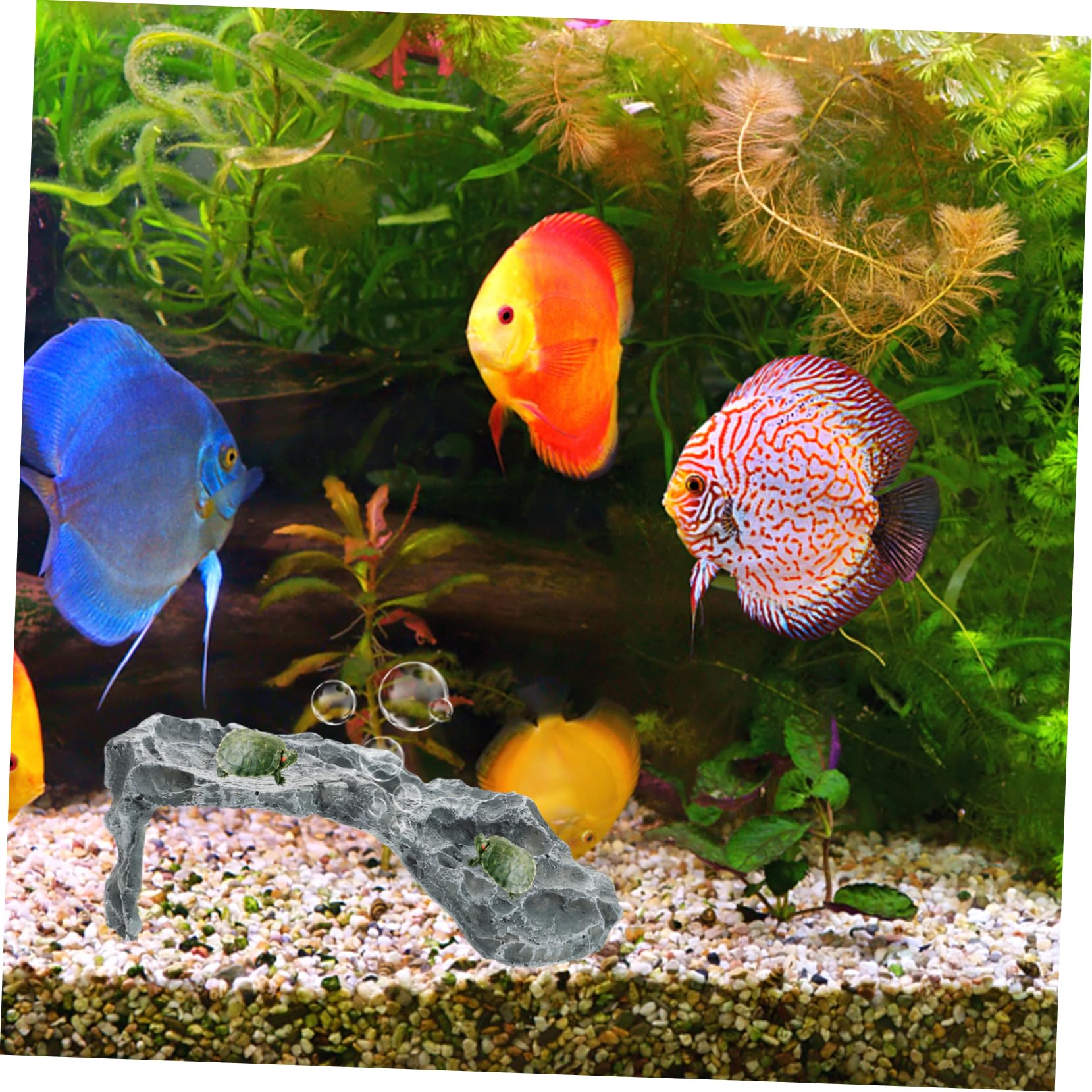 Flotante De Guitai Plataforma De Descanso para Tortugas Acuáticas Escondite para Dragón Barbudo Decoración para Reptiles Acuarios y Terrarios para De Tortuga y