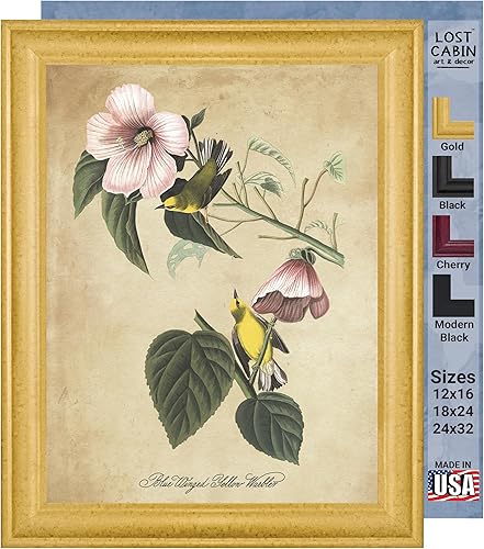 Vista 133 de Towee Bunting by James Audubon - Marco biselado negro de 12 x 16 pulgadas, decoración artística enmarcada para pared, reproducción de pinturas